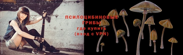 MDMA Медвежьегорск
