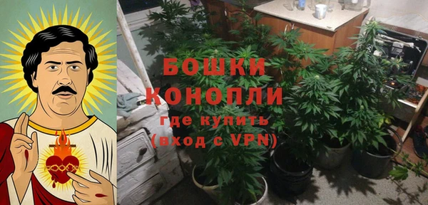ALPHA PVP Мегион